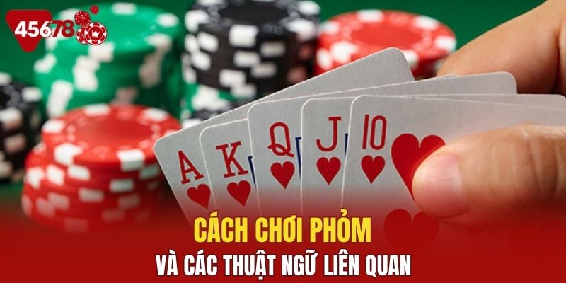 Một số thuật ngữ trong game phỏm hiện tại