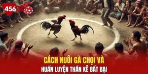 Cách nuôi gà chọi
